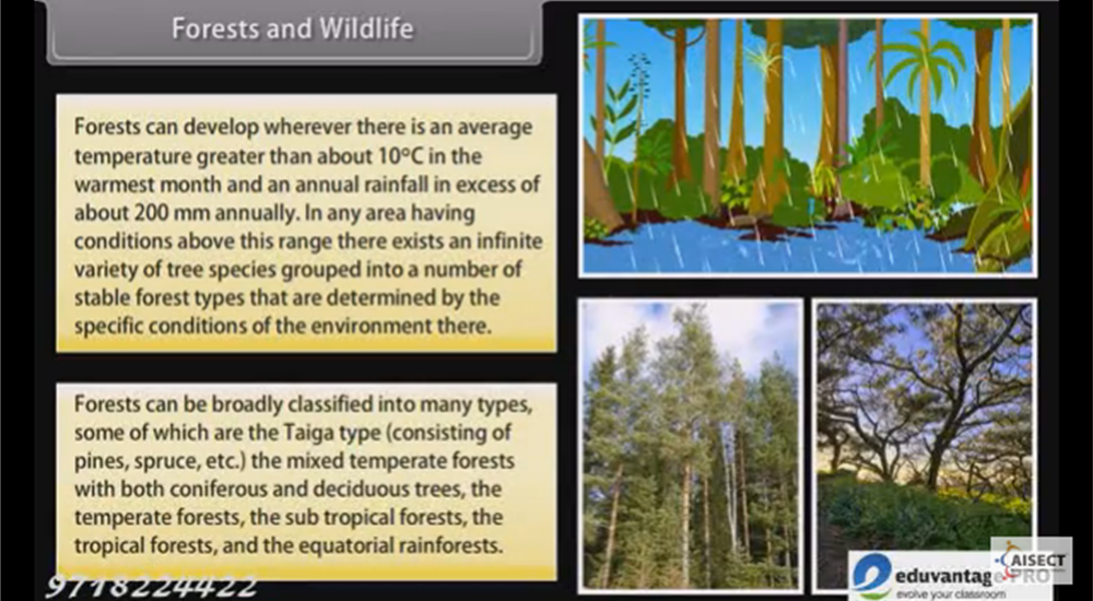 What are the natural resources of the taiga?